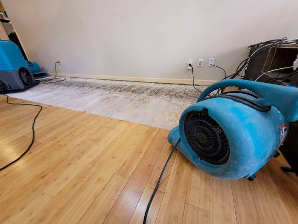 Professional Basement Flood Cleanup technician working in Maple Heights, OH